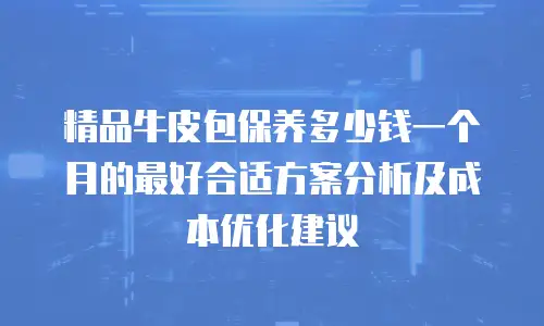 精品牛皮包保养多少钱一个月的最好合适方案分析及成本优化建议