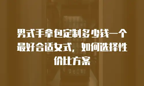 男式手拿包定制多少钱一个最好合适女式，如何选择性价比方案