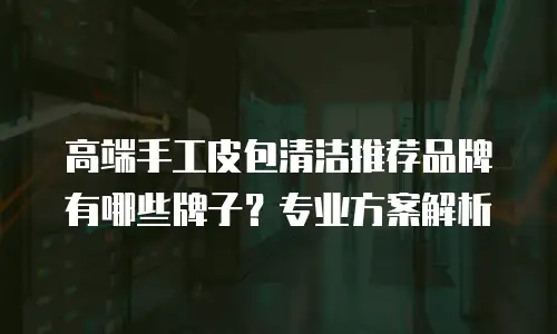 高端手工皮包清洁推荐品牌有哪些牌子？专业方案解析