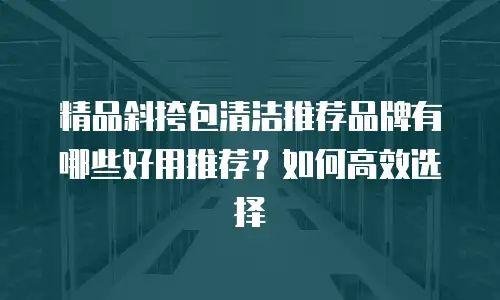 精品斜挎包清洁推荐品牌有哪些好用推荐？如何高效选择