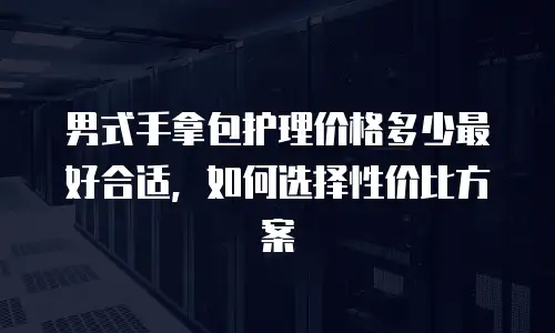 男式手拿包护理价格多少最好合适，如何选择性价比方案