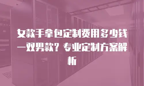 女款手拿包定制费用多少钱一双男款？专业定制方案解析