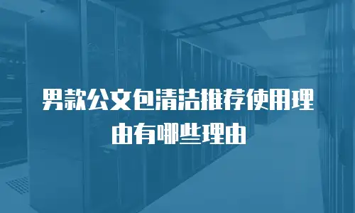 男款公文包清洁推荐使用理由有哪些理由