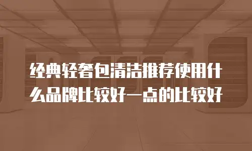 经典轻奢包清洁推荐使用什么品牌比较好一点的比较好