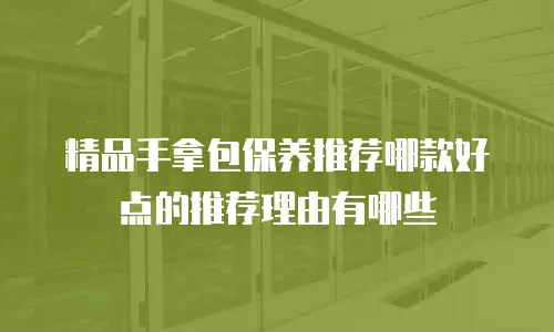 精品手拿包保养推荐哪款好点的推荐理由有哪些