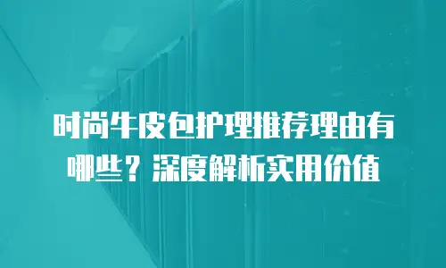 时尚牛皮包护理推荐理由有哪些？深度解析实用价值