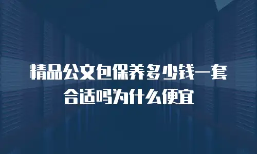 精品公文包保养多少钱一套合适吗为什么便宜