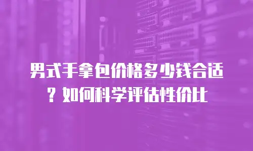 男式手拿包价格多少钱合适？如何科学评估性价比