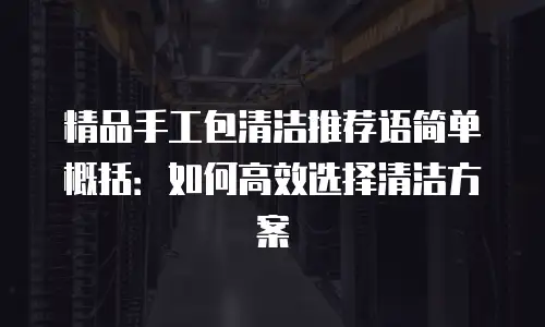 精品手工包清洁推荐语简单概括：如何高效选择清洁方案
