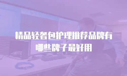 精品轻奢包护理推荐品牌有哪些牌子最好用
