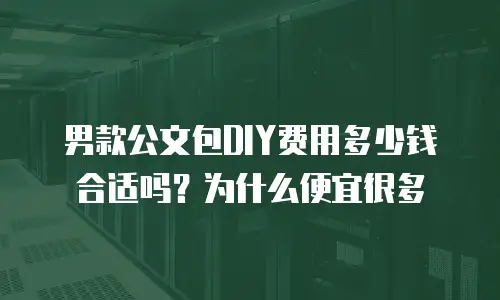 男款公文包DIY费用多少钱合适吗？为什么便宜很多