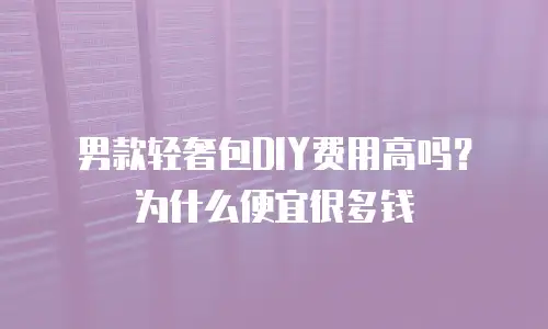男款轻奢包DIY费用高吗？为什么便宜很多钱
