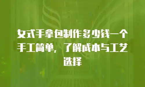 女式手拿包制作多少钱一个手工简单，了解成本与工艺选择