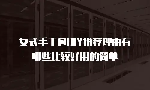 女式手工包DIY推荐理由有哪些比较好用的简单