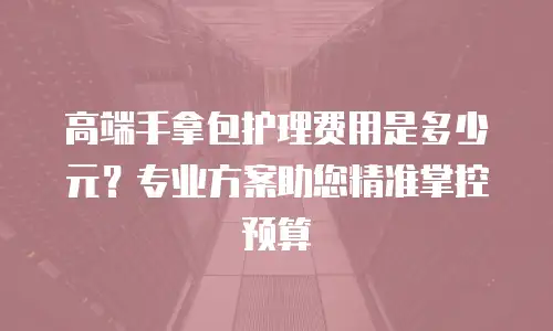 高端手拿包护理费用是多少元？专业方案助您精准掌控预算