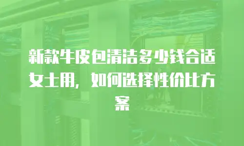新款牛皮包清洁多少钱合适女士用，如何选择性价比方案