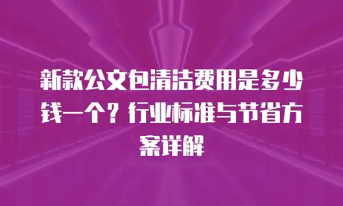 新款公文包清洁费用是多少钱一个？行业标准与节省方案详解