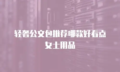轻奢公文包推荐哪款好看点女士用品