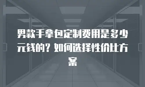 男款手拿包定制费用是多少元钱的？如何选择性价比方案