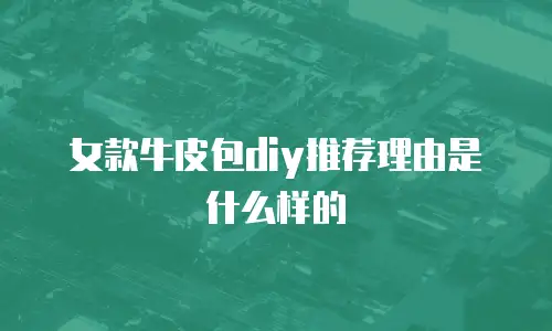 女款牛皮包diy推荐理由是什么样的