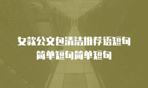 女款公文包清洁推荐语短句简单短句简单短句