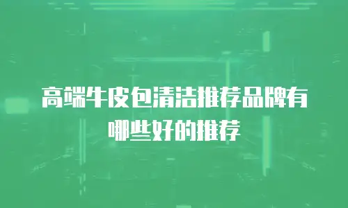 高端牛皮包清洁推荐品牌有哪些好的推荐