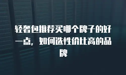 轻奢包推荐买哪个牌子的好一点，如何选性价比高的品牌