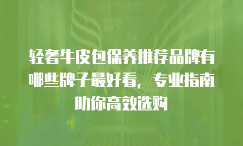 轻奢牛皮包保养推荐品牌有哪些牌子最好看，专业指南助你高效选购
