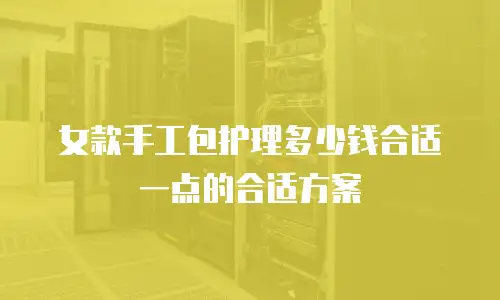 女款手工包护理多少钱合适一点的合适方案