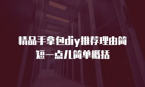 精品手拿包diy推荐理由简短一点儿简单概括