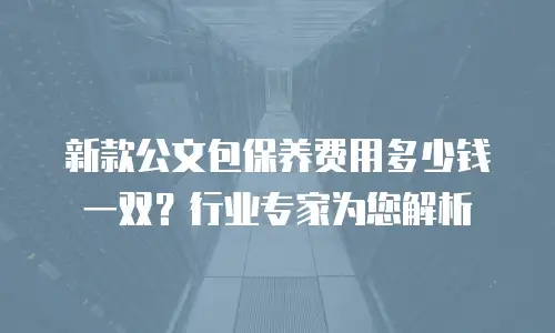 新款公文包保养费用多少钱一双？行业专家为您解析