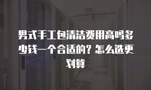 男式手工包清洁费用高吗多少钱一个合适的？怎么选更划算