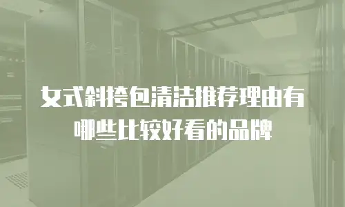 女式斜挎包清洁推荐理由有哪些比较好看的品牌
