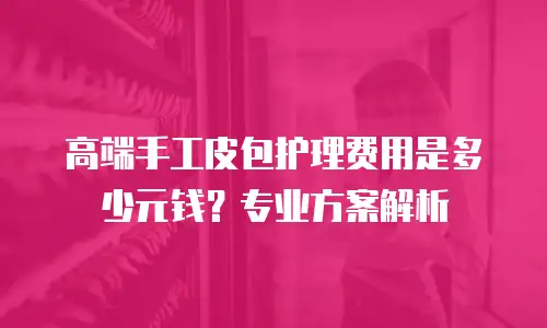 高端手工皮包护理费用是多少元钱？专业方案解析