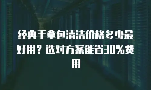 经典手拿包清洁价格多少最好用？选对方案能省30%费用