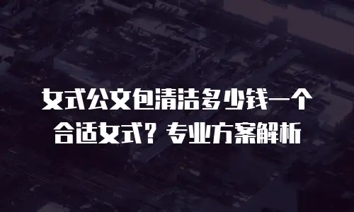 女式公文包清洁多少钱一个合适女式？专业方案解析