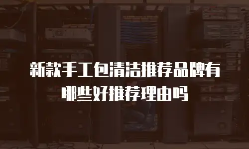 新款手工包清洁推荐品牌有哪些好推荐理由吗