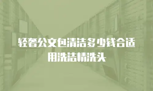 轻奢公文包清洁多少钱合适用洗洁精洗头