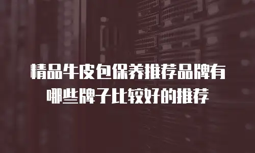精品牛皮包保养推荐品牌有哪些牌子比较好的推荐