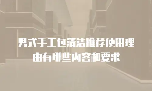 男式手工包清洁推荐使用理由有哪些内容和要求