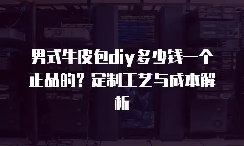 男式牛皮包diy多少钱一个正品的？定制工艺与成本解析
