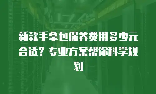 新款手拿包保养费用多少元合适？专业方案帮你科学规划