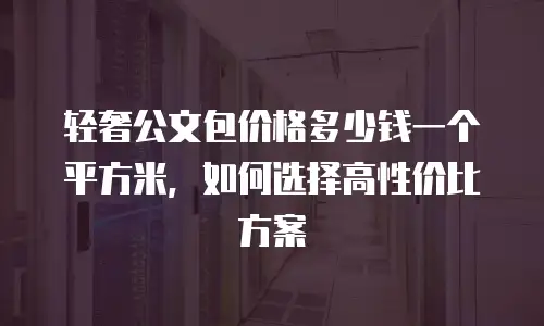 轻奢公文包价格多少钱一个平方米，如何选择高性价比方案