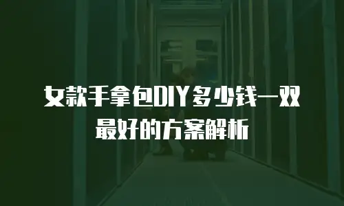 女款手拿包DIY多少钱一双最好的方案解析