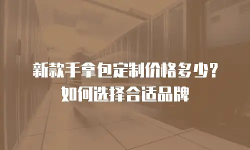 新款手拿包定制价格多少？如何选择合适品牌
