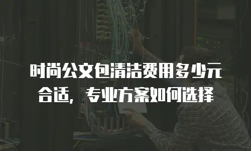 时尚公文包清洁费用多少元合适，专业方案如何选择