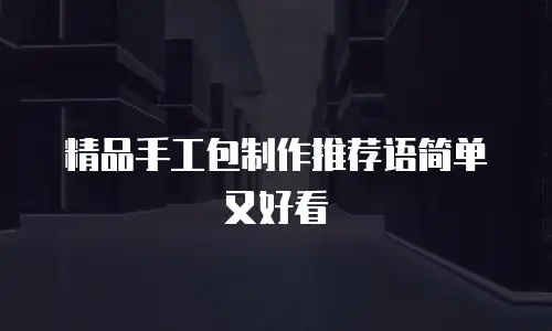 精品手工包制作推荐语简单又好看