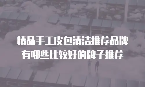 精品手工皮包清洁推荐品牌有哪些比较好的牌子推荐