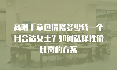高端手拿包价格多少钱一个月合适女士？如何选择性价比高的方案