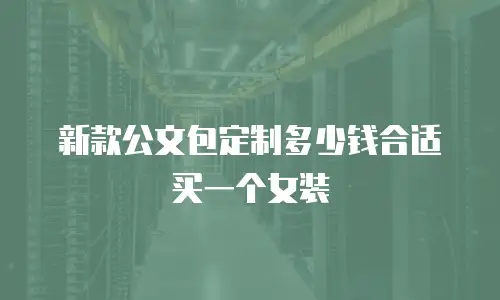 新款公文包定制多少钱合适买一个女装